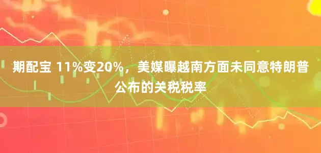 期配宝 11%变20%，美媒曝越南方面未同意特朗普公布的关税税率