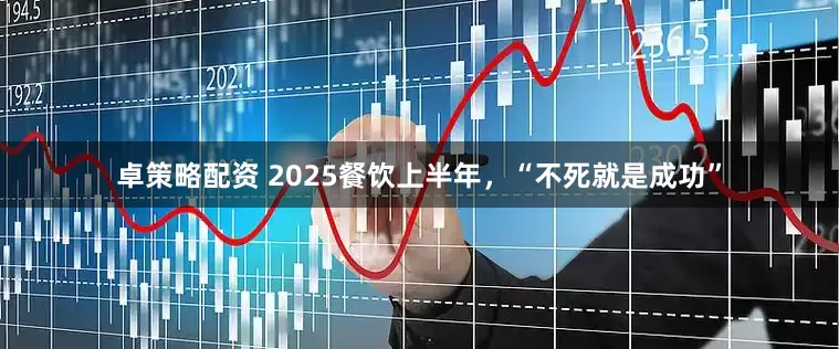 卓策略配资 2025餐饮上半年，“不死就是成功”