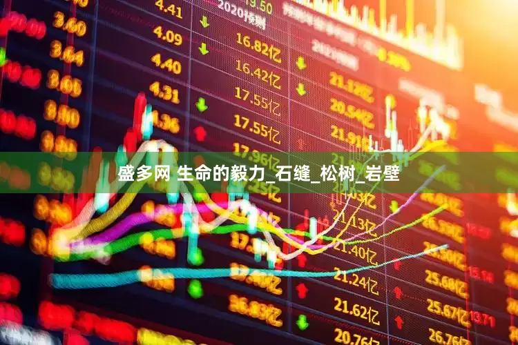 盛多网 生命的毅力_石缝_松树_岩壁